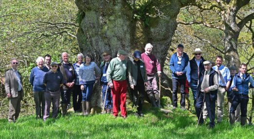 RFS Members around a Veteran Oak