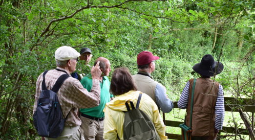 A group standing at a gate in a woodland