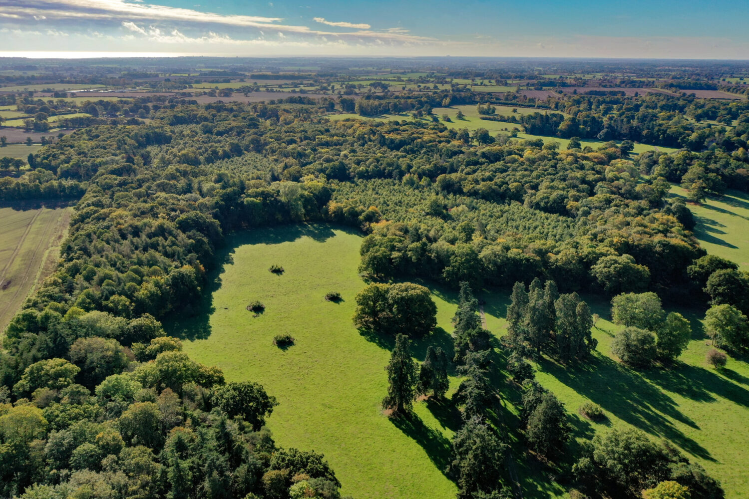 Best in British forestry recognised at Excellence in Forestry Awards ...