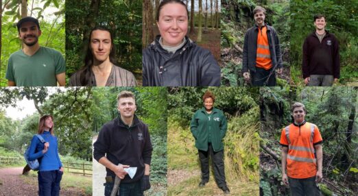 Forestry Roots Trainees